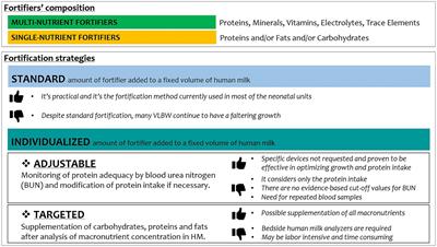 Improving growth in preterm infants through nutrition: a practical overview